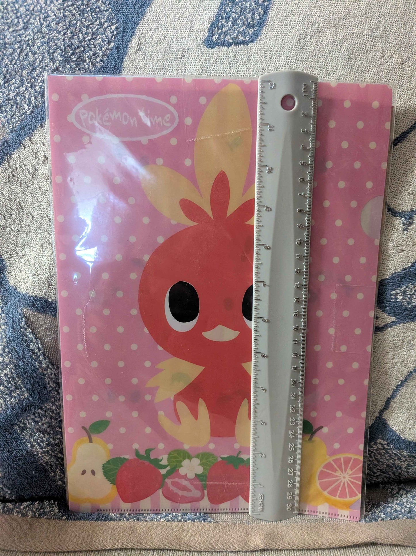 Pokémon Center Japan Pokémon Time Torchic Clearfile Folder